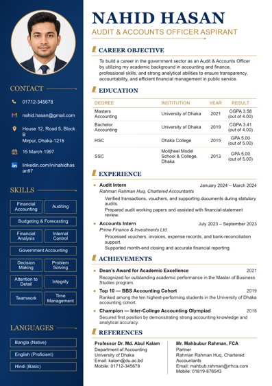 Government Audit & Accounts CV template preview