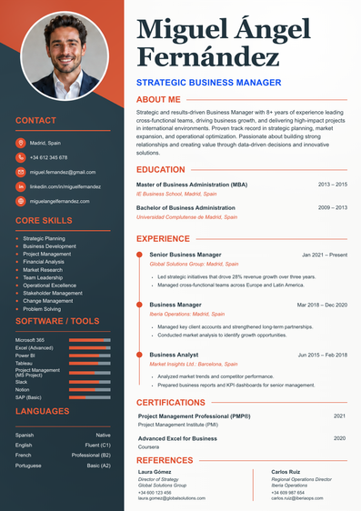 meritCV template preview