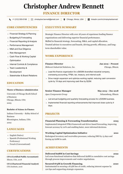 Finance Director CV template preview