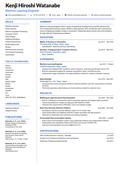 meritCV template option