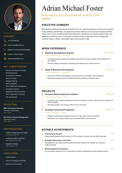meritCV template preview