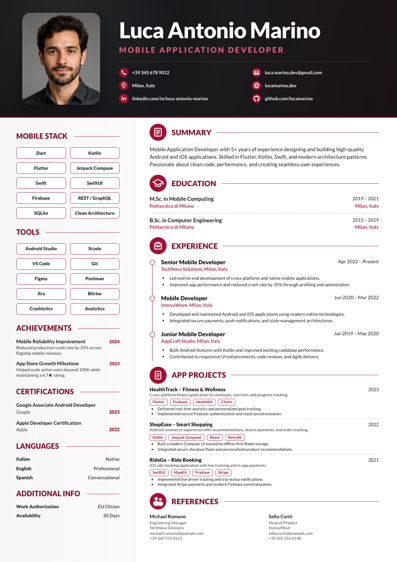 meritCV template option